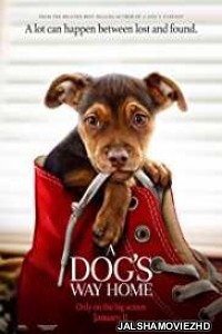 A Dogs Way Home (2019) English Movie