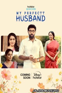 My Perfectt Husband (2024) Hindi Web Series Hotstar Original